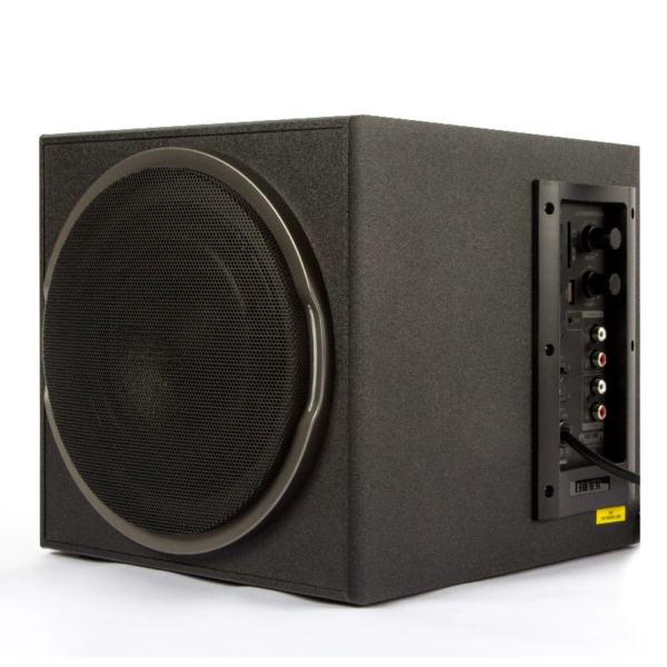 2.1 channel party speaker system