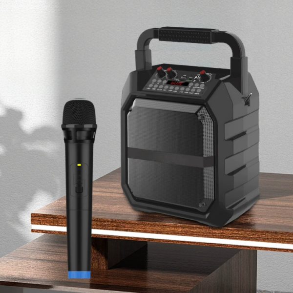 Portable KTV party speaker set