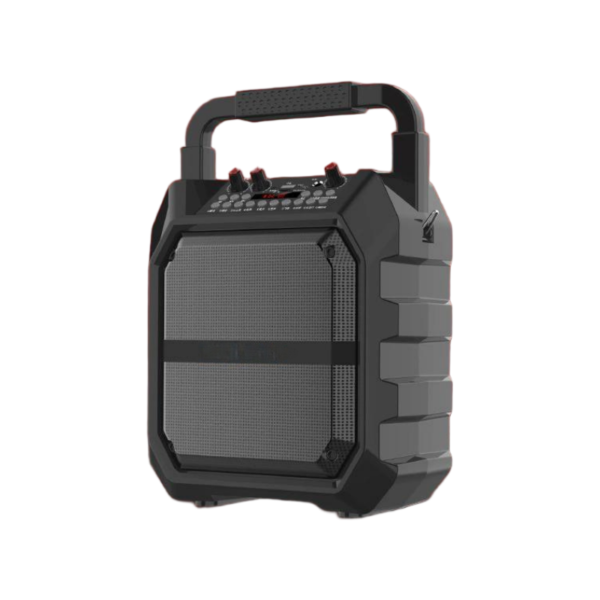 Portable KTV party speaker set