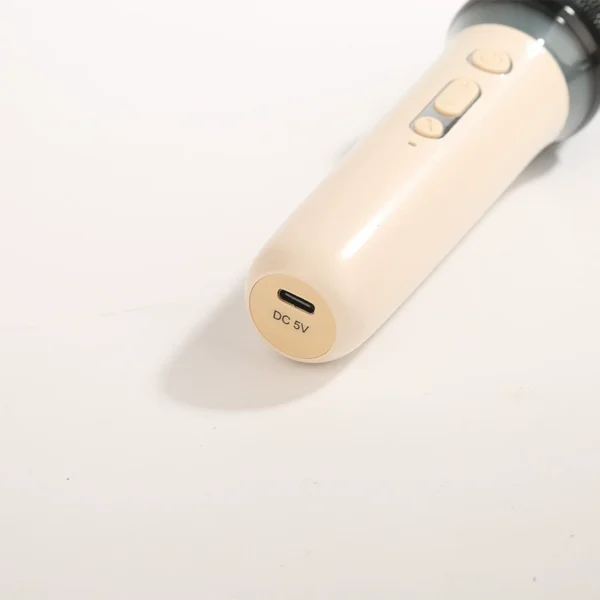Milk Coffee Color Portable Dual-Mic Karaoke Speaker